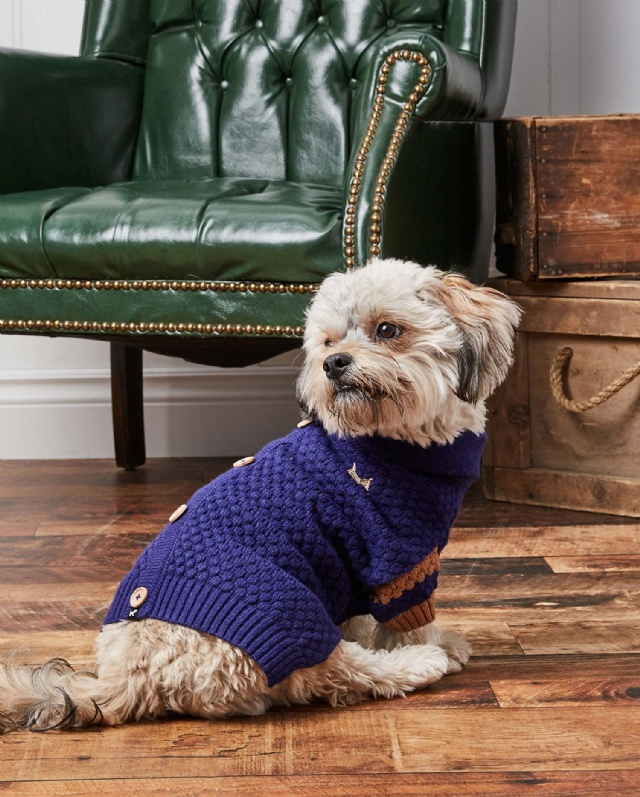 Hotel Doggy | Thread Collective | THREAD COLLECTIVE, global leader in the clothing, apparel and fashion industry, designing, manufactures, markets, owned and licensed products