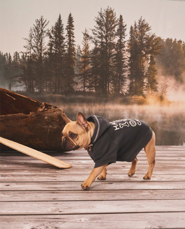 Hotel Doggy | Thread Collective | THREAD COLLECTIVE, global leader in the clothing, apparel and fashion industry, designing, manufactures, markets, owned and licensed products